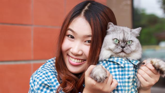 5 Manfaat Memelihara Kucing  untuk Kesehatan Mentalmu 