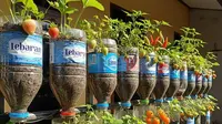 7 Ide Konsep Zero Waste Gardening dengan Barang Bekas untuk Kebun Ramah Lingkungan