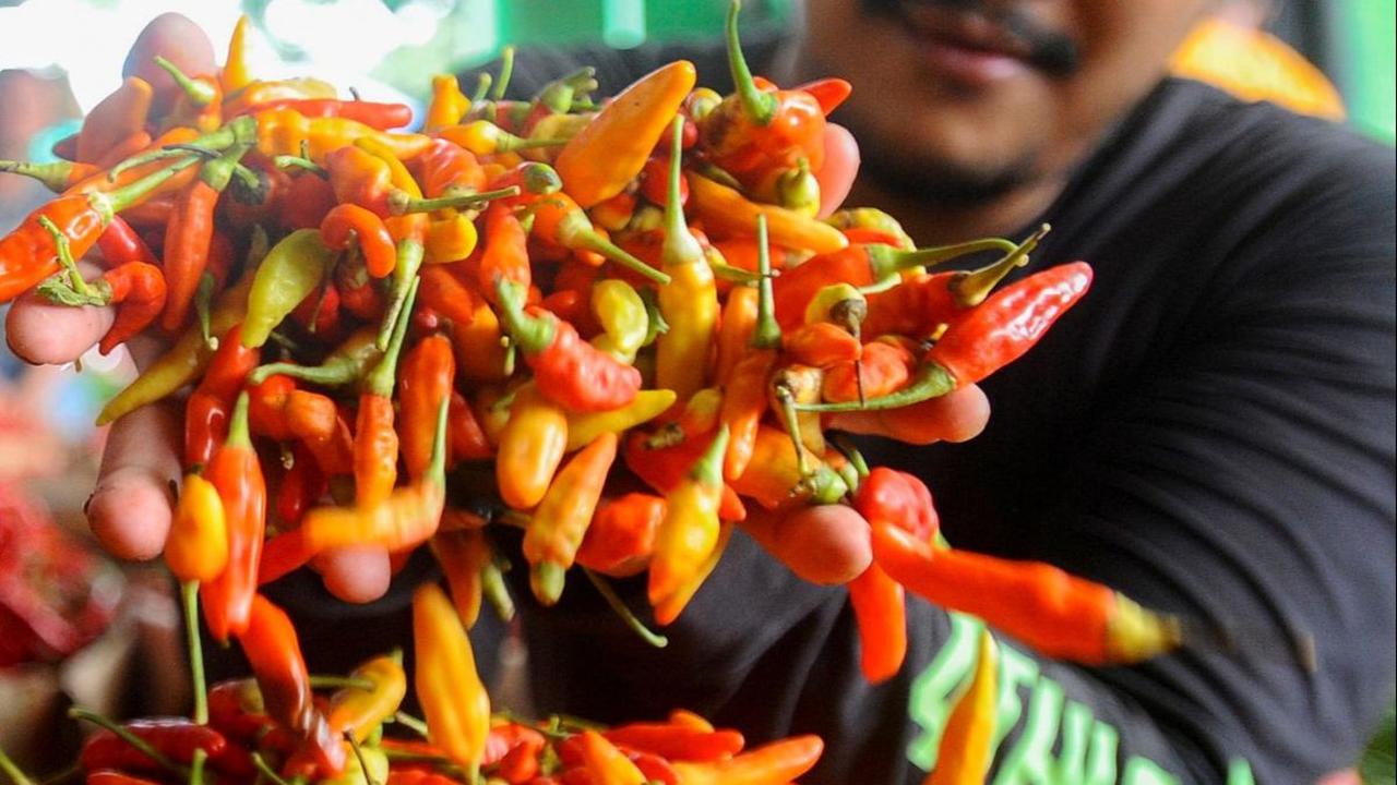 "Cabai ini dua-duanya lagi naik, Rp100 ribu per kg," kata Tari kepada media.<br><br>