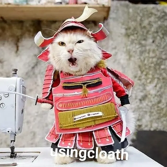 Kisah Mantan Guru SD Sukses Banting Setir Jadi Desainer Baju Kucing