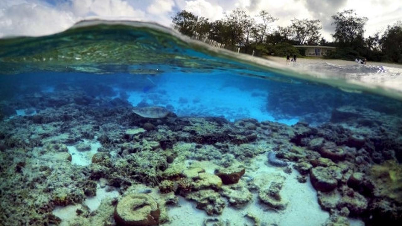 Melihat ribuan terumbu karang rusak parah di laut Queensland