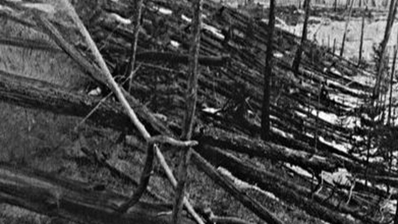 Terbukti, gara-gara jatuhnya benda langit itu mampu meratakan wilayah sepanjang 2.150 kilometer persegi atau setidaknya 80 juta pohon tumbang. Peristiwa ini dikenal dengan Tunguska Event.