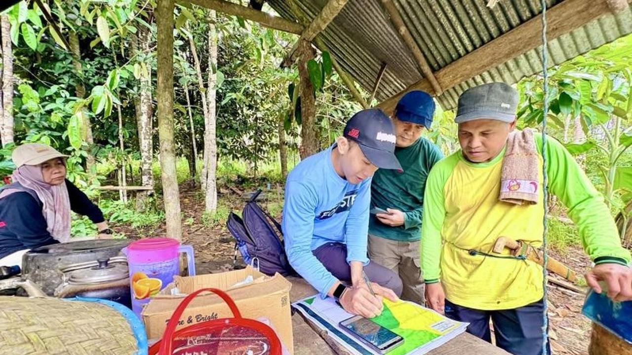 Dishut Kalsel Verifikasi Lokasi Agroforestry FOLU Kalsel di Tabalong untuk Kelestarian Hutan