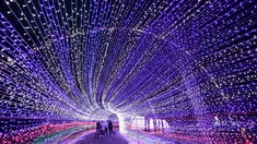 Sejumlah wanita berfoto bersama diantara cahaya lampu yang memenuhi sebuah taman di Minsk, Belarus (5/2). Setelah matahari terbenam empat puluh pameran seni instalasi lampu menghiasi seluruh taman di Belarus. (AP Photo/Sergei Grits)