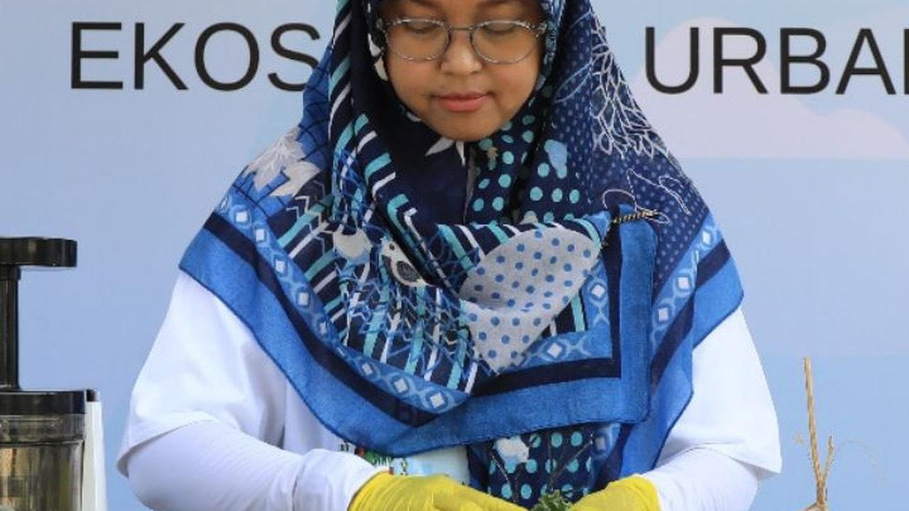 BRI Peduli Inspirasi Bertani di Kota (BRInita) Kembangkan Urban Farming di Lahan Sempit