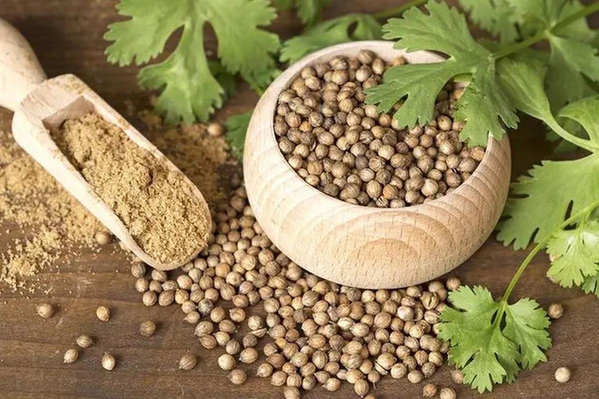Resep dan Cara Membuat Minuman Herbal untuk Kolesterol dan Asam Urat Hanya dengan 3 Bahan