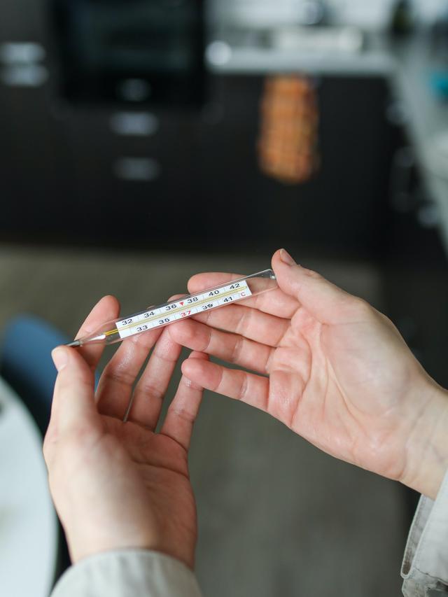 Ilmuwan Temukan Infeksi Virus Yezo di Jepang, Menular dari Kutu