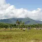 Gunung Betiri di Jawa Timur. (Dok: IG @shulhanhadi&nbsp;https://www.instagram.com/p/BGmIvXTmeBU/?igsh=cWJna3FrYjJmajE5)