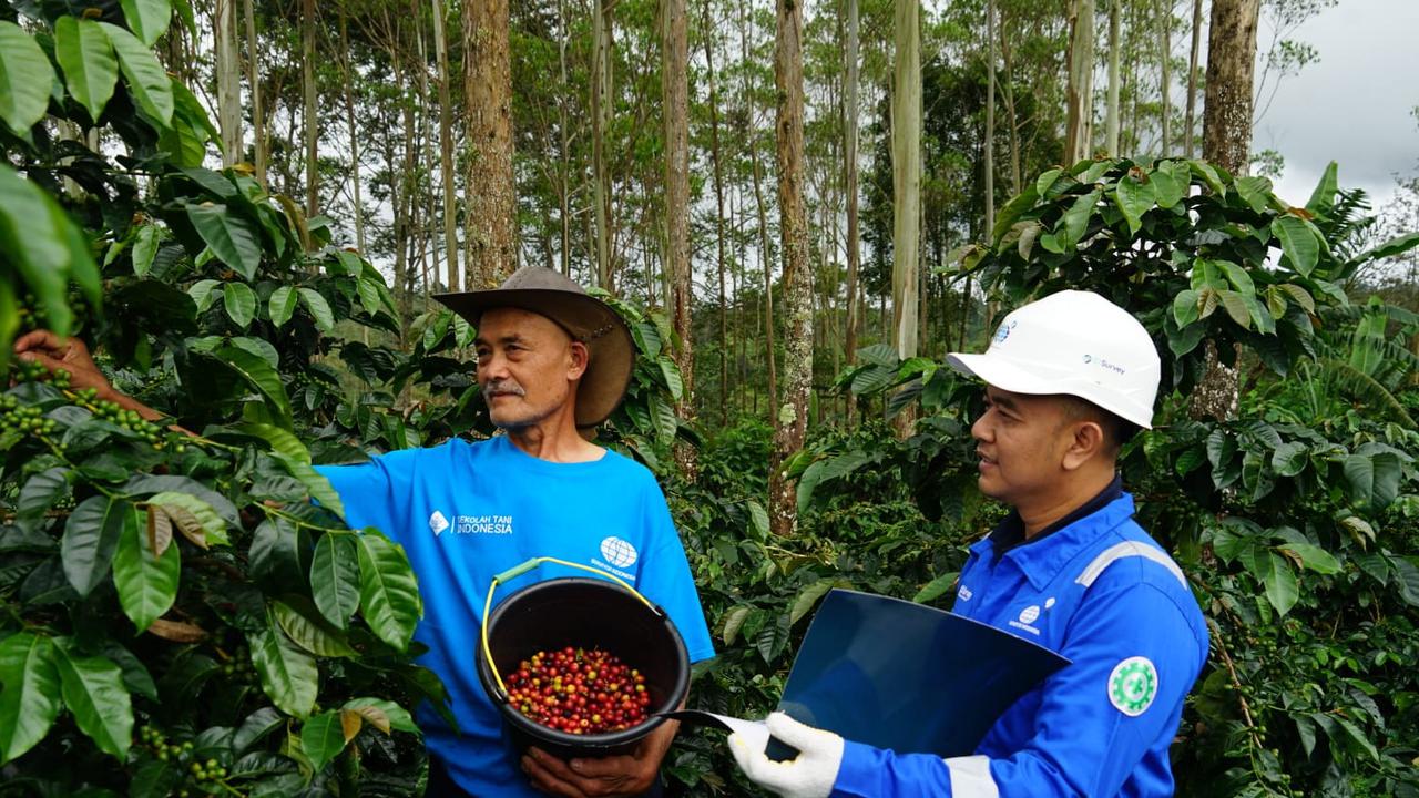 Surveyor Indonesia bekerjasama dengan Sekolah Tani Indonesia melakukan replanting tanaman kopi di Pangalengan, Jawa Barat.