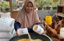 Modal Rp500 Ribu Jadi Rp3 Juta! 9 Cara Beternak di Desa untuk Pemula