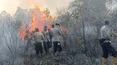 13 Hotspot Membara di Way Kambas, Operasi Udara Disiapkan