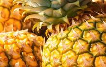 Manfaat Nanas untuk Miss V, Atasi Nyeri Haid hingga Tingkatkan Kesuburan