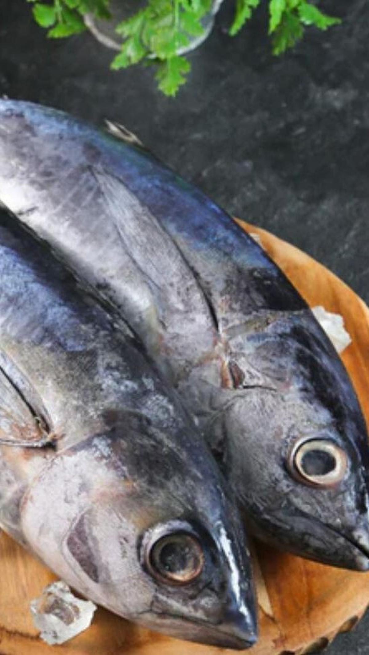 Selain itu, mengenali tanda-tanda ikan segar dan menghindari makanan lain yang mengandung merkuri juga merupakan langkah-langkah penting dalam menjaga kesehatan tubuh dan menghindari risiko keracunan.