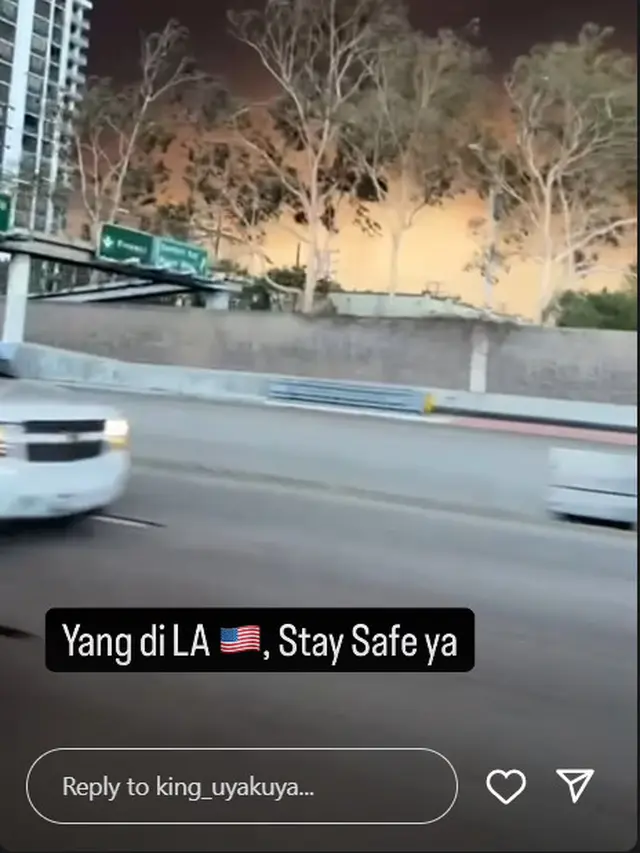 6 Potret Kebakaran di Los Angeles yang Dibagikan Keluarga Kuya, Api Cepat Menyebar