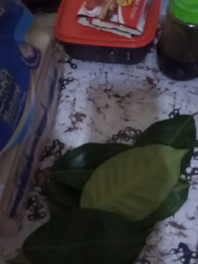 Cara Simpan Daun Salam Agar Tetap Hijau dan Harum, Tahan Hingga 2 Minggu Tanpa Dijemur