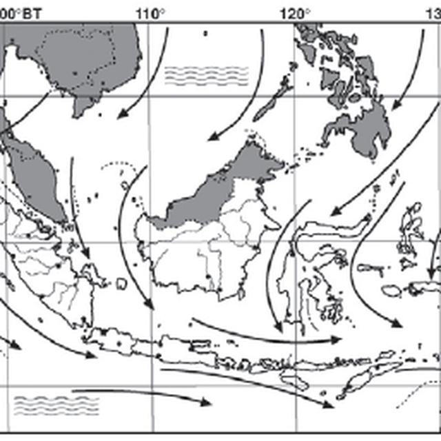 Belasan Pohon Tumbang Diterjang Angin Kebun Raya Bogor Ditutup News Liputan6 Com