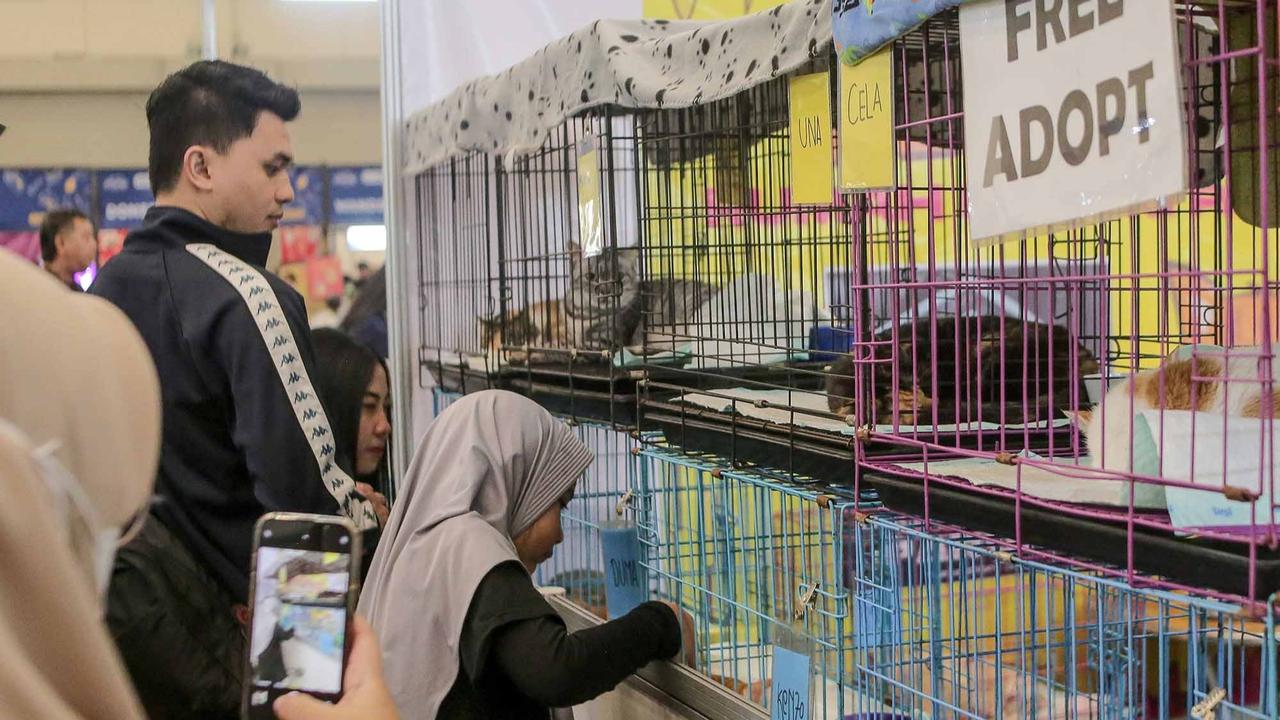 FOTO: Keseruan Pengunjung dengan Binatang Kesayangan saat Pet Fest 2025