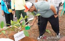 Pemkot Bengkulu Luncurkan Program Gempita, Tanam Ribuan Kamboja untuk Iklim dan Tata Kota Hijau