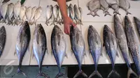 6 Ikan di Indonesia Ini Aman Dikonsumsi
