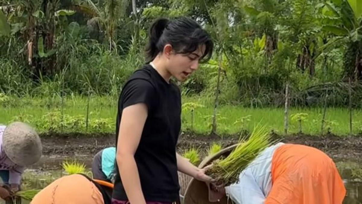 Dipuji Humble, 5 Potret Keseruan Sintya Marisca Olahraga Pagi dengan Bantu Petani Menanam Padi