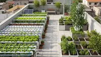 15 Pilihan Terbaik untuk Urban Farming Pemula yang Mudah Dipraktikkan di Rumah