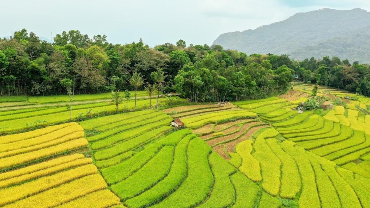 Mengenal Kuang, Kearifan Lokal Masyarakat Toraja dalam Menjaga dan Mengelola Air