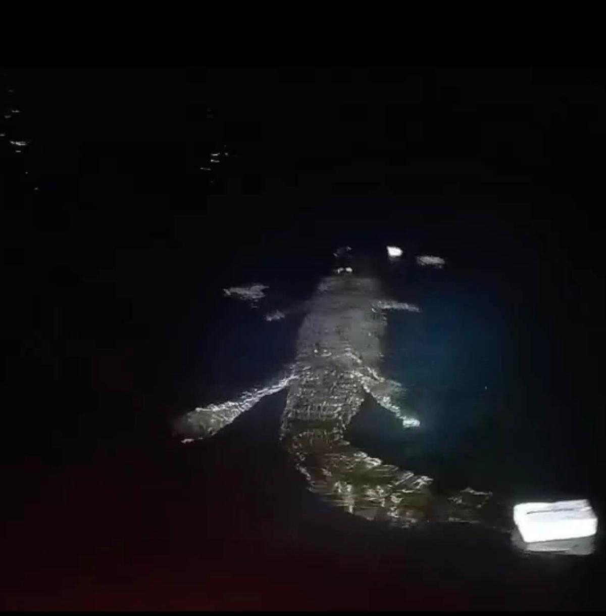 Buaya yang diduga menerkam seorang warga di Pantai Pasangkayu, Sulbar. (Dok. Istimewa)