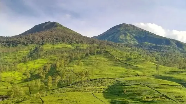 Pemandangan dari Gunung Cilik Kaliurip di Wonosobo @trans_veller