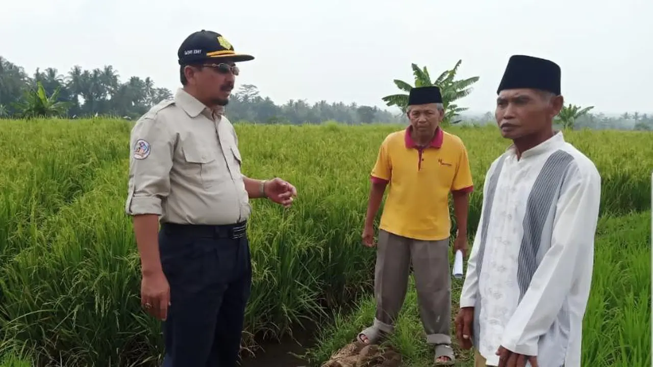 Jawa Tengah Salah Satu Tumpuan Serapan KUR Pertanian