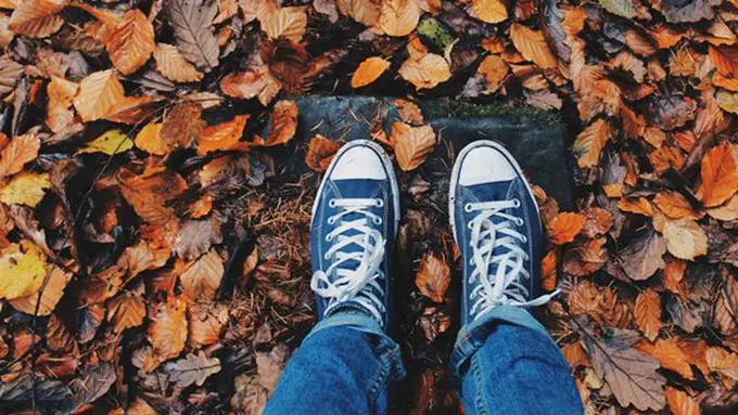 Copyright: pexels.com/pixabay