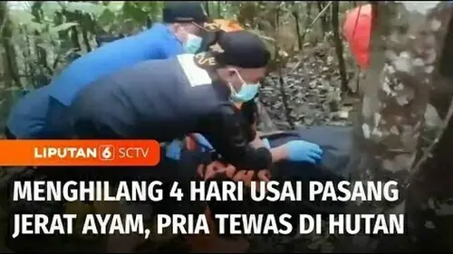 VIDEO: Hilang 4 Hari, Pria Ditemukan Tewas di Hutan, Evakuasi Jasad Berlangsung Dramatis