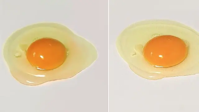 Telur Asli dan Lukisan. Bisakah Anda Bedakan Kedua Gambar di Bawah Ini?
