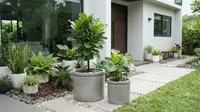 Cara Membuat Pot Semen dari Ember Bekas, Hasil Estetik untuk Mempercantik Halaman Rumah