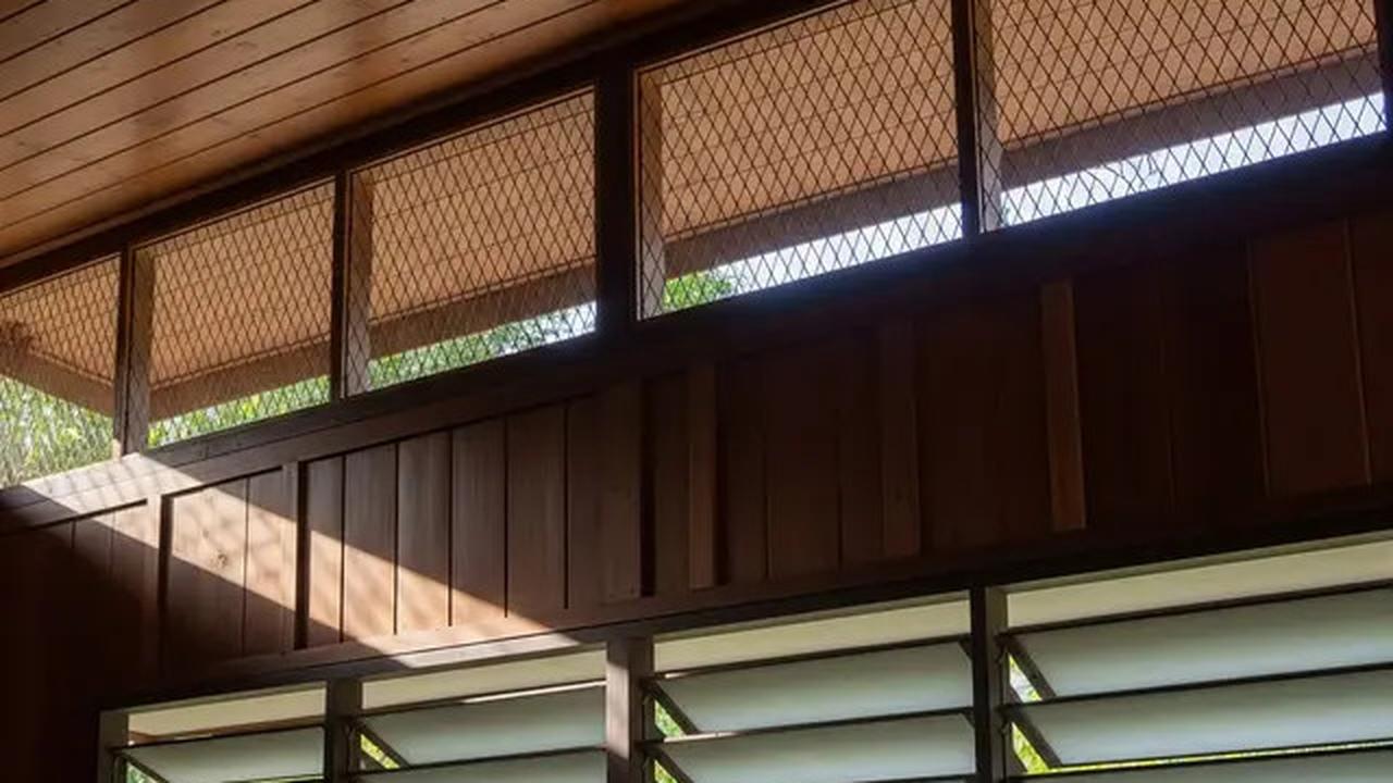 8 Tips Memperbaiki Ventilasi Rumah agar Ular Tak Bisa Masuk Lewat Celah Kecil