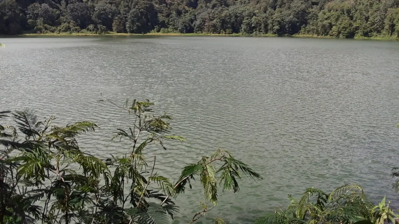 Danau Rana Mese berada di Desa Golo Loni, Kecamatan Rana Mese, Kabupaten Manggarai Timur, Nusa Tenggara Timur (NTT). (Liputan6.com/ Dionisius Wilibardus)