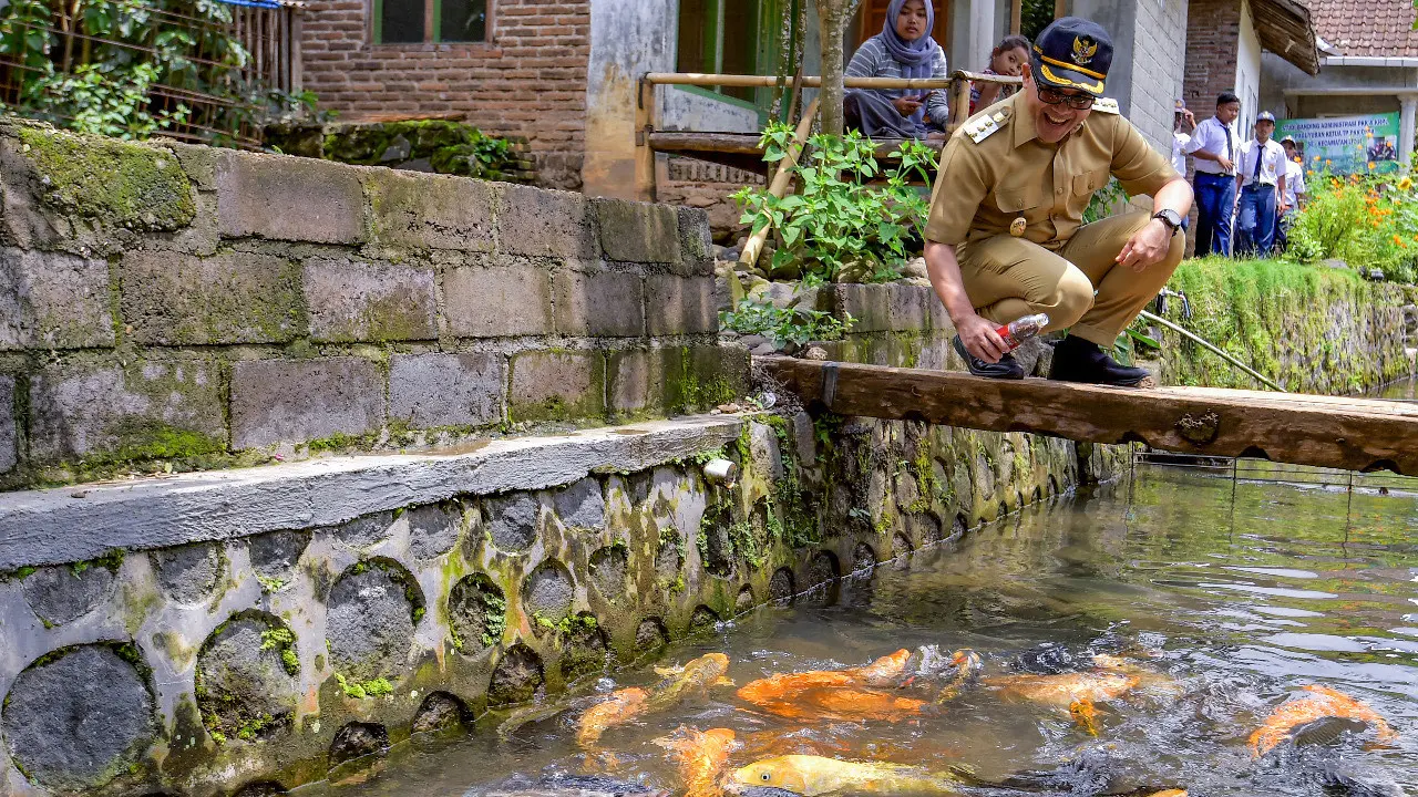 Warga Kluncing Banyuwangi Sulap Sungai Jadi Destinasi Kampung Ikan