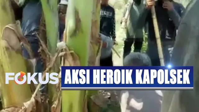 Kapolsek Cempa Iptu Akbar juga berupaya menenangkan massa yang bersenjata tajam dan bambu runcing yang akan menuju lokasi penambangan pasir.