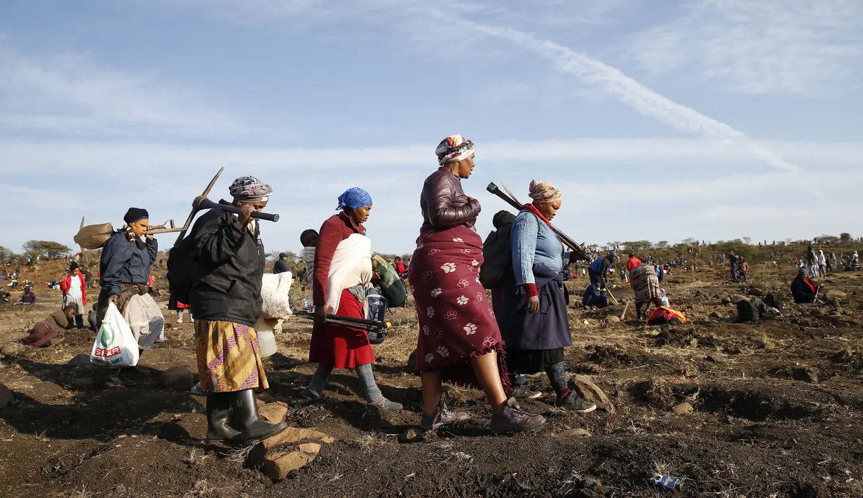 Sekelompok wanita pergi setelah menghabiskan malam menggali untuk mencari apa yang mereka yakini sebagai berlian setelah penemuan batu tak dikenal di desa KwaHlathi dekat Ladysmith, Afrika Selatan (15/6/2021). (AFP/Phill Magakoe)