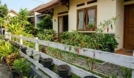 Cara Membuat Kebun Cabai Mini di Pagar Rumah, Ubah Pagar Kosong Jadi Kebun Produktif