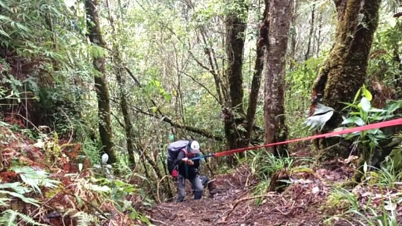 Perbedaan Mendaki dari Jalur Karangan dan Angin-Angin di Gunung Latimojong Sulsel