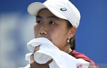 Tenis Putri Indonesia Lolos Playoff BJK, PELTI Siapkan Program Lanjutan