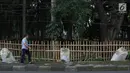 Warga melintas di samping pagar yang ambruk di Taman Hutan Tebet, Jakarta, Kamis (28/3). Kondisi pagar yang ambruk akibat hujan deras tersebut butuh perbaikan karena telah terabaikan selama beberapa bulan terakhir. (Liputan6.com/Immanuel Antonius)