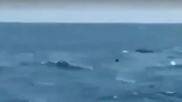 Kapal TNI