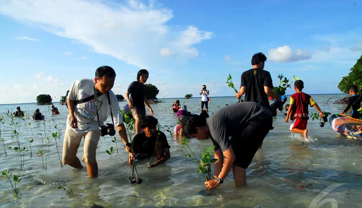 Kegiatan menanam Mangrove ini dilaksanakan di kawasan Pulau Pari, Kepulauan Seribu, Jakarta Utara, Sabtu (3/5/2014) (Liputan6.com/Miftahul Hayat). 