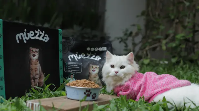 Muezza