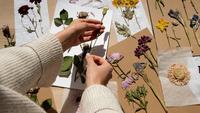 How to Press Flowers in a Book: A Great and Easy DIY Project