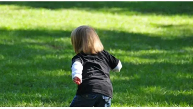 Foto: copyright brainwreck.com