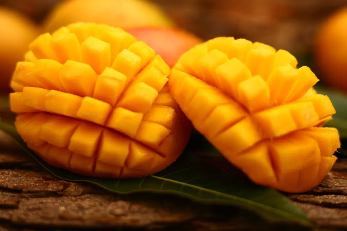 3 Keuntungan Mengonsumsi Mangga Ini Buat Kamu Awet Mudah Lho!