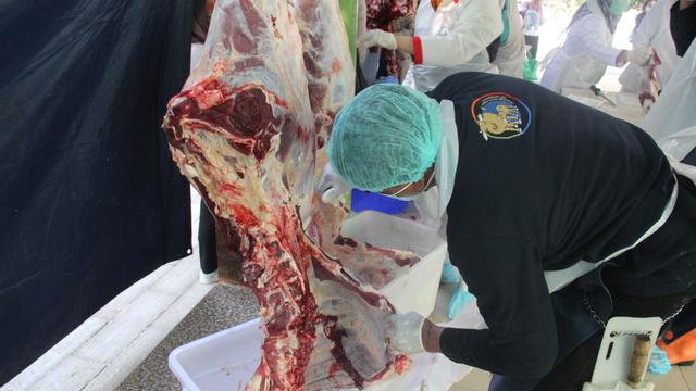 Pastikan Daging Qurban Berstandar ASUH, Kementan Ajak Stakeholder Tingkatkan Pengawasan Kurban di Masa Pandemi