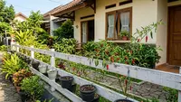 Cara Membuat Kebun Cabai Mini di Pagar Rumah, Ubah Pagar Kosong Jadi Kebun Produktif